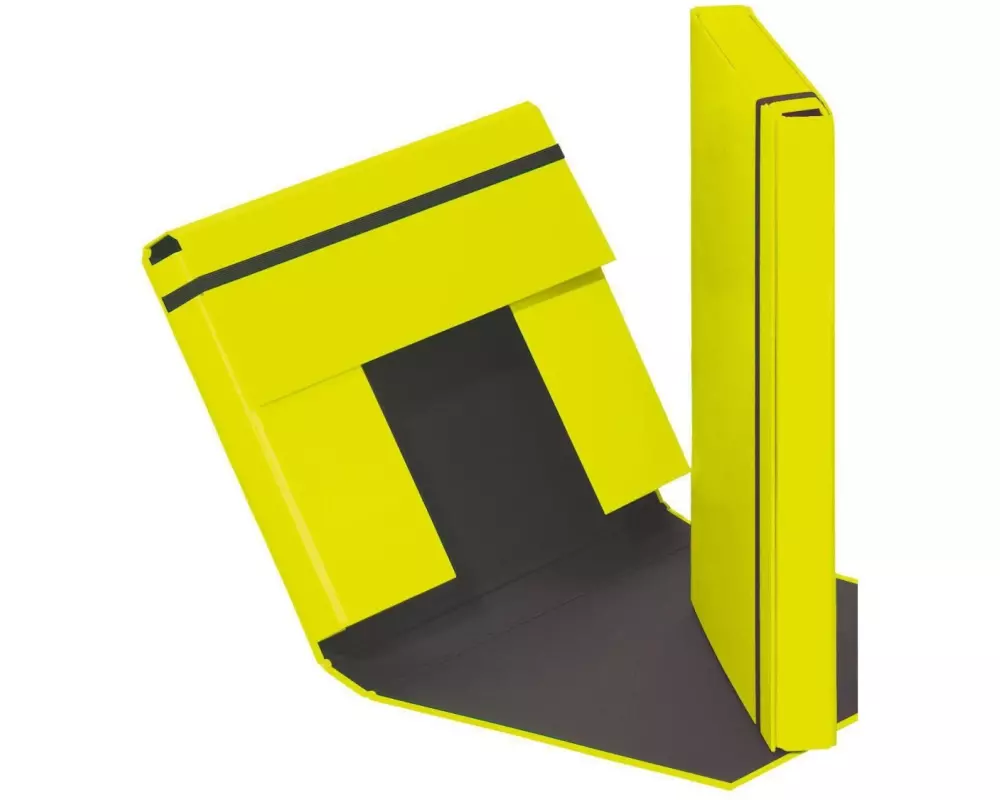 Pagna Gummibandmappe A4 Trend Lindgrün