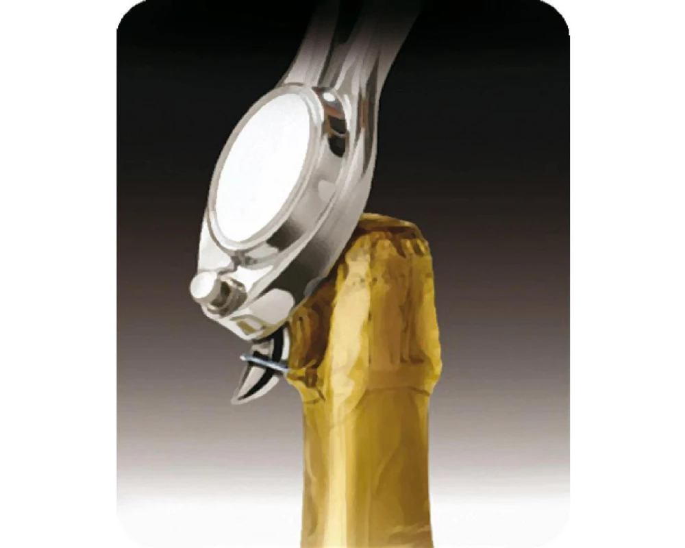 Vin Bouquet mit Spritzschutz Silber