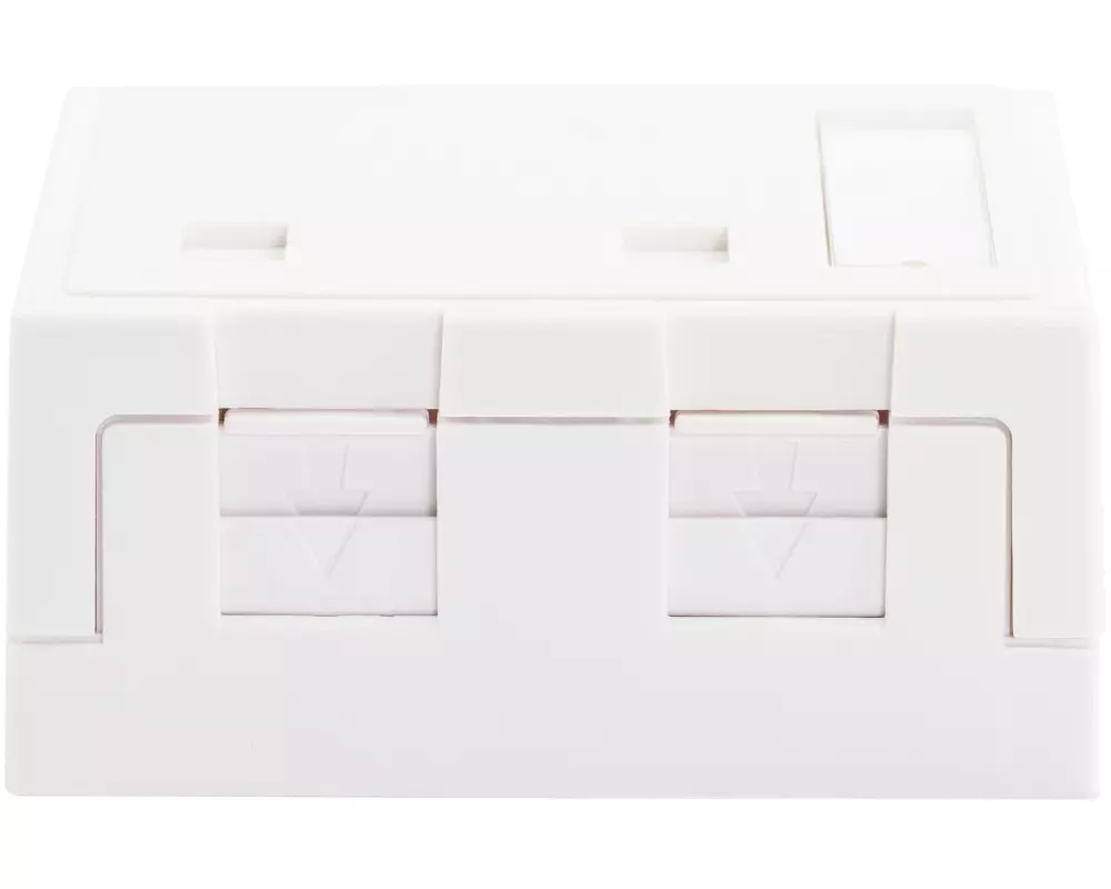 Dätwyler IT Infra Netzwerkdose AP Anschlussdosen 2x