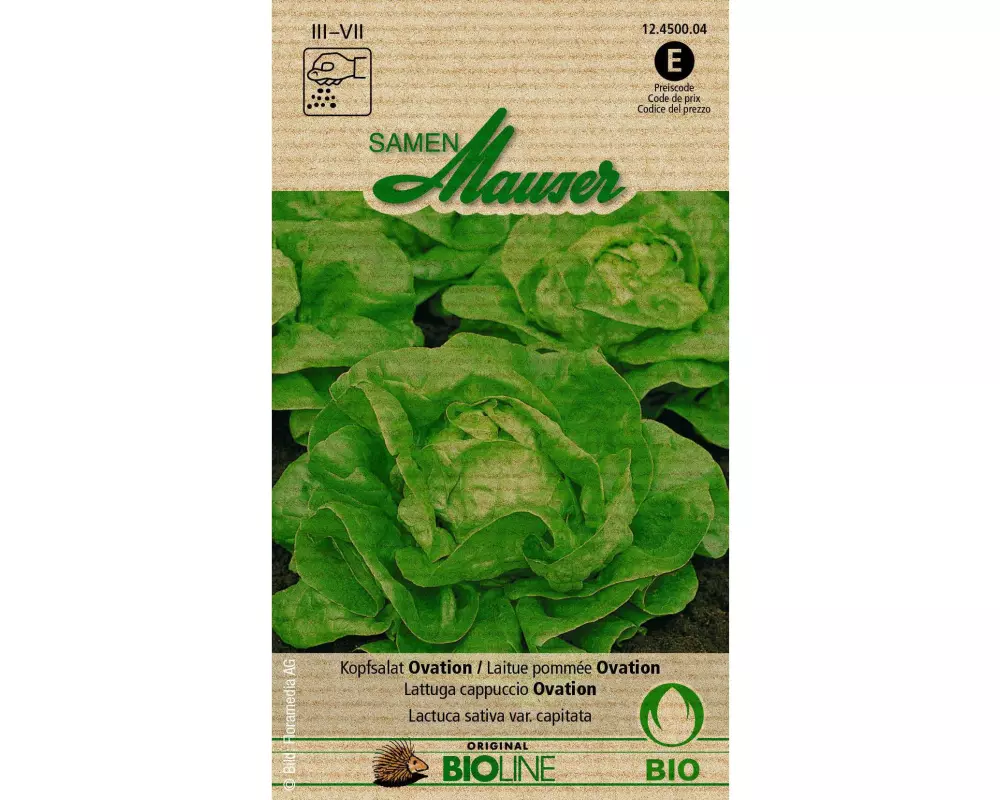 Samen Mauser Samen Bioline Kopfsalat Ovation