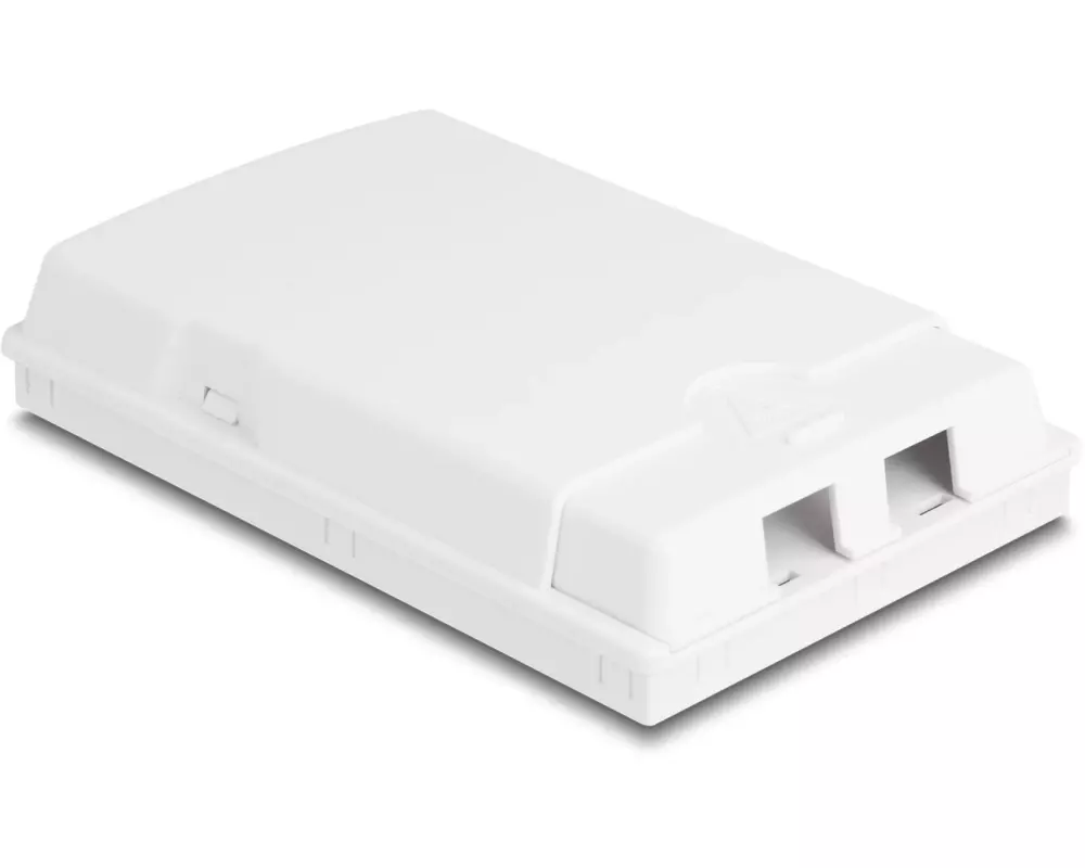 Delock LWL Anschlussdose zur Wandmontage für 2x SC/LC