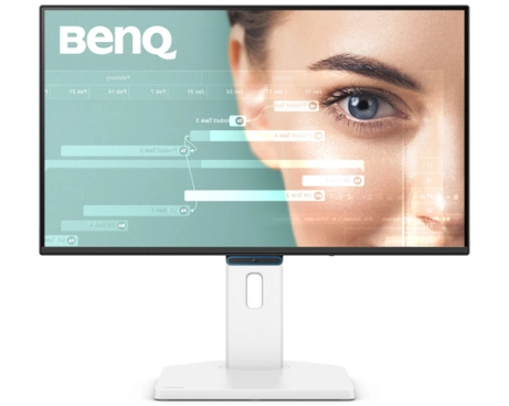 BenQ Monitor GW2490TC