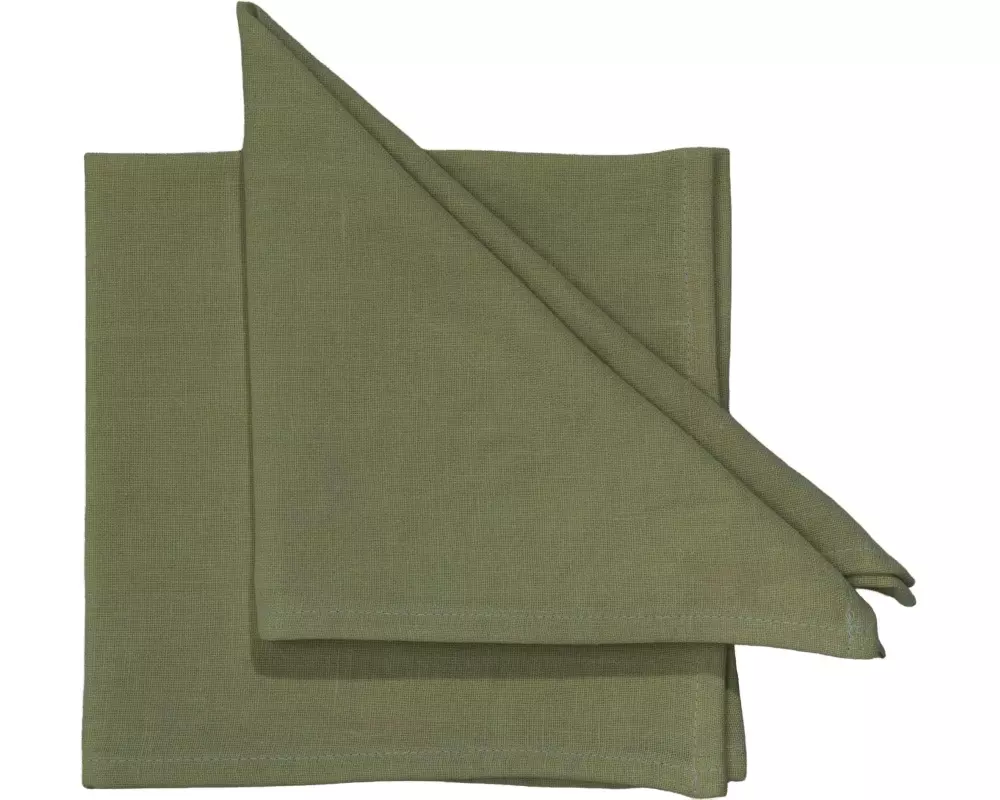 Pichler Stoffserviette Lars 40 cm x 40 cm, 6 Stück, Grün