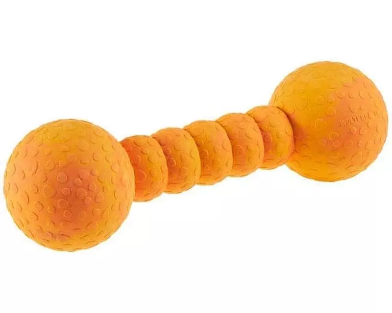 Wolters Hunde-Spielzeug Aqua-Fun Gym, 23 cm