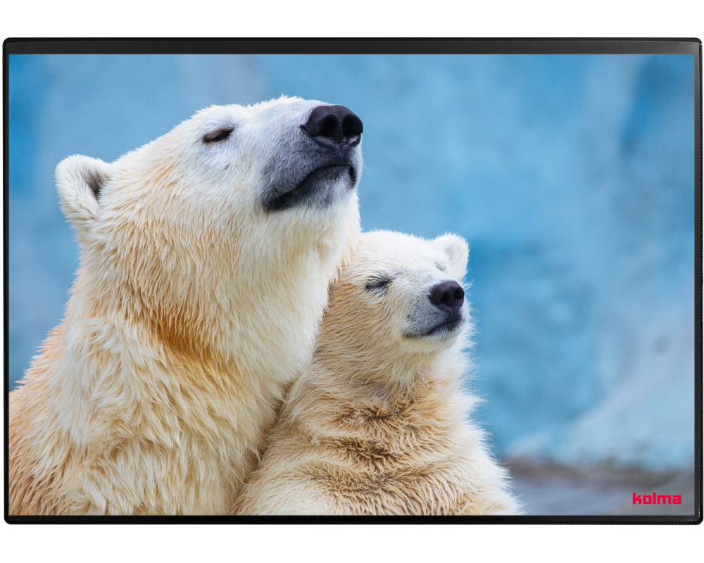 KOLMA Schreibunterlage 35.551.20 Eisbär 50x34cm