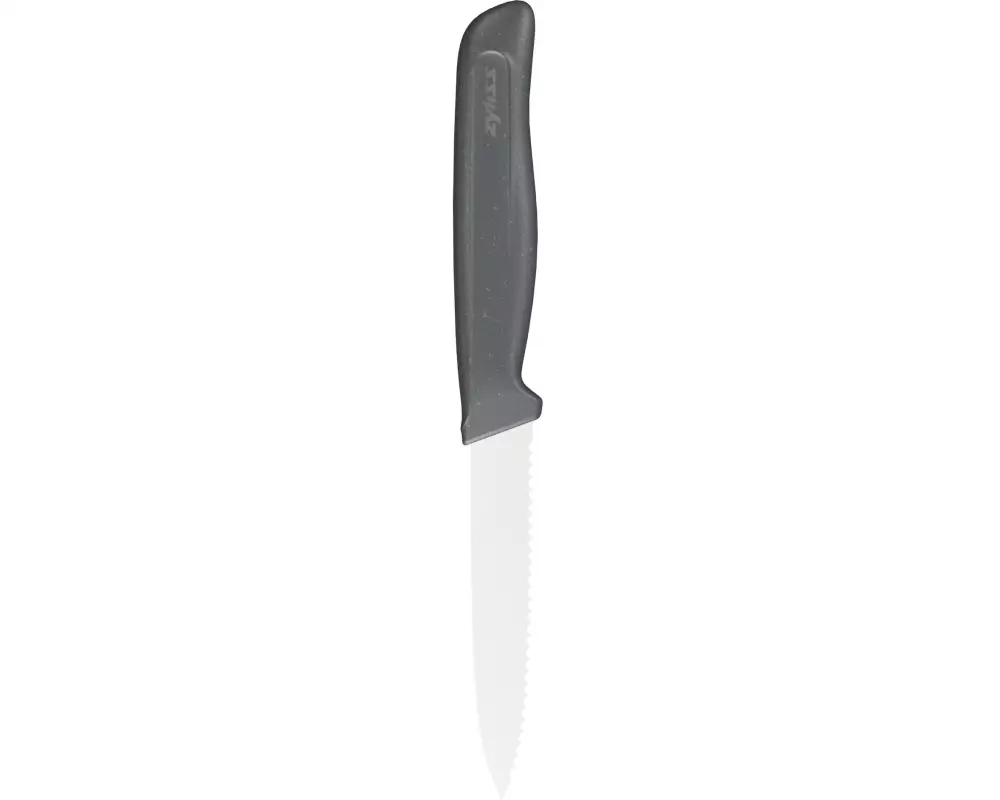 Zyliss Rüstmesser E920285 10 cm, Schwarz/Silber