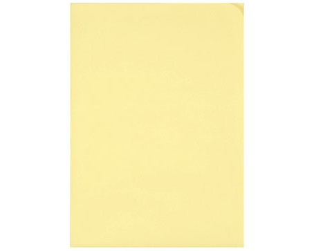 ELCO Organisationsmappe Ordo A4 29466.71 discreta, gelb 100 Stück