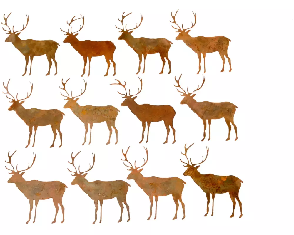 COCON Streudeko Hirsch, 12 Stück