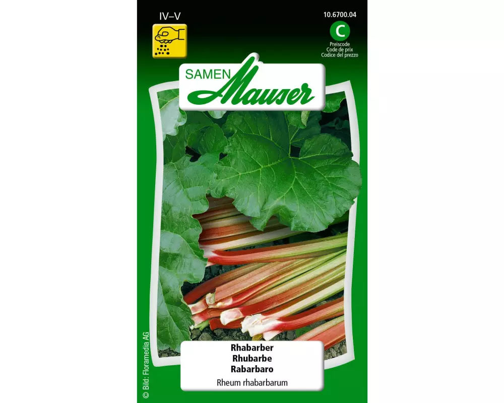 Samen Mauser Samen Rhabarber