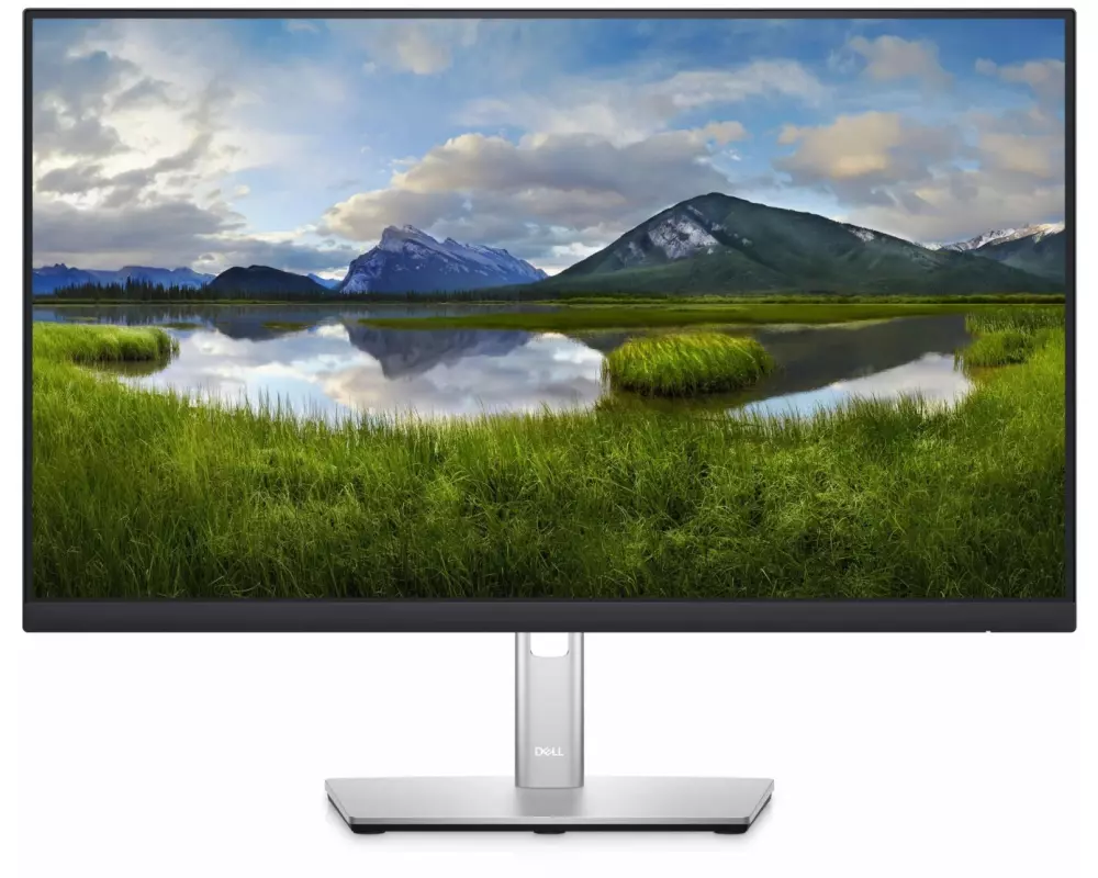DELL Monitor P2422HE