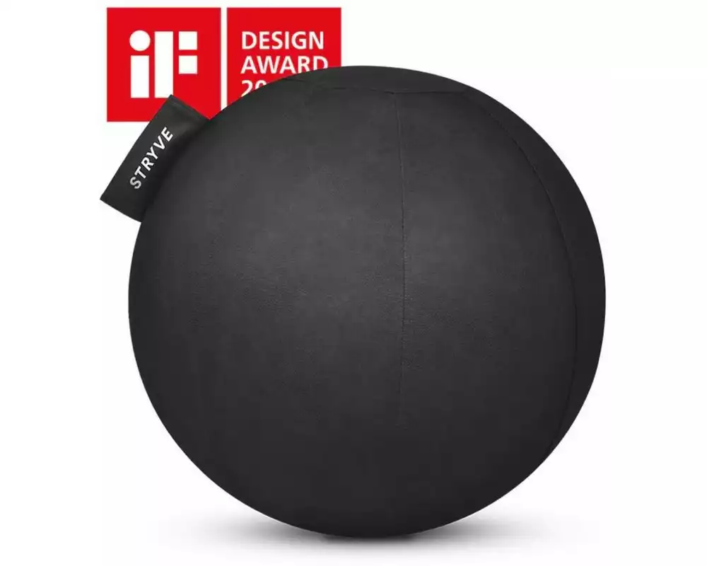 Stryve Active Ball Kunstleder Ø 65 cm