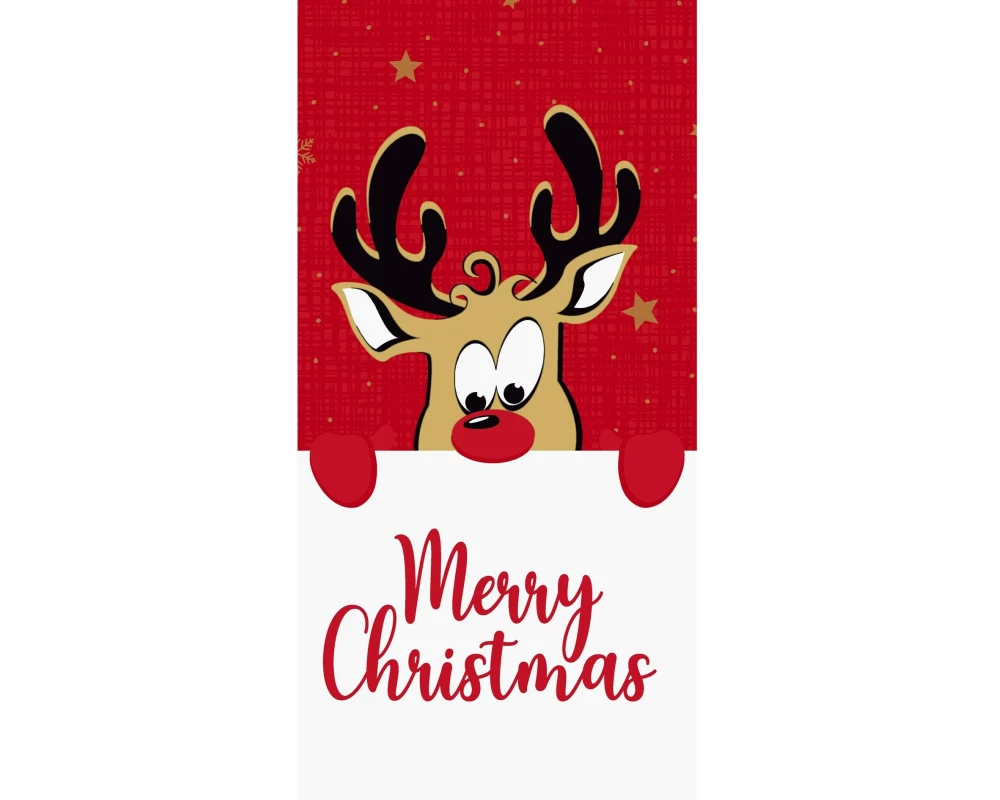 Duni Servietten Bio DSF 1/8, Rudolf, 40 x 40 cm, 60 Stück