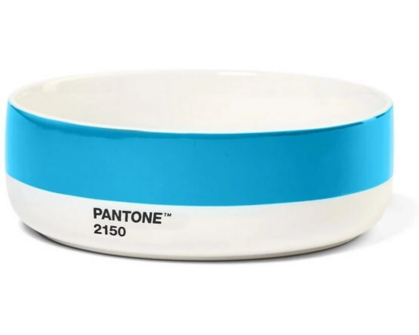 PANTONE Schale 500ml 101622150 blue