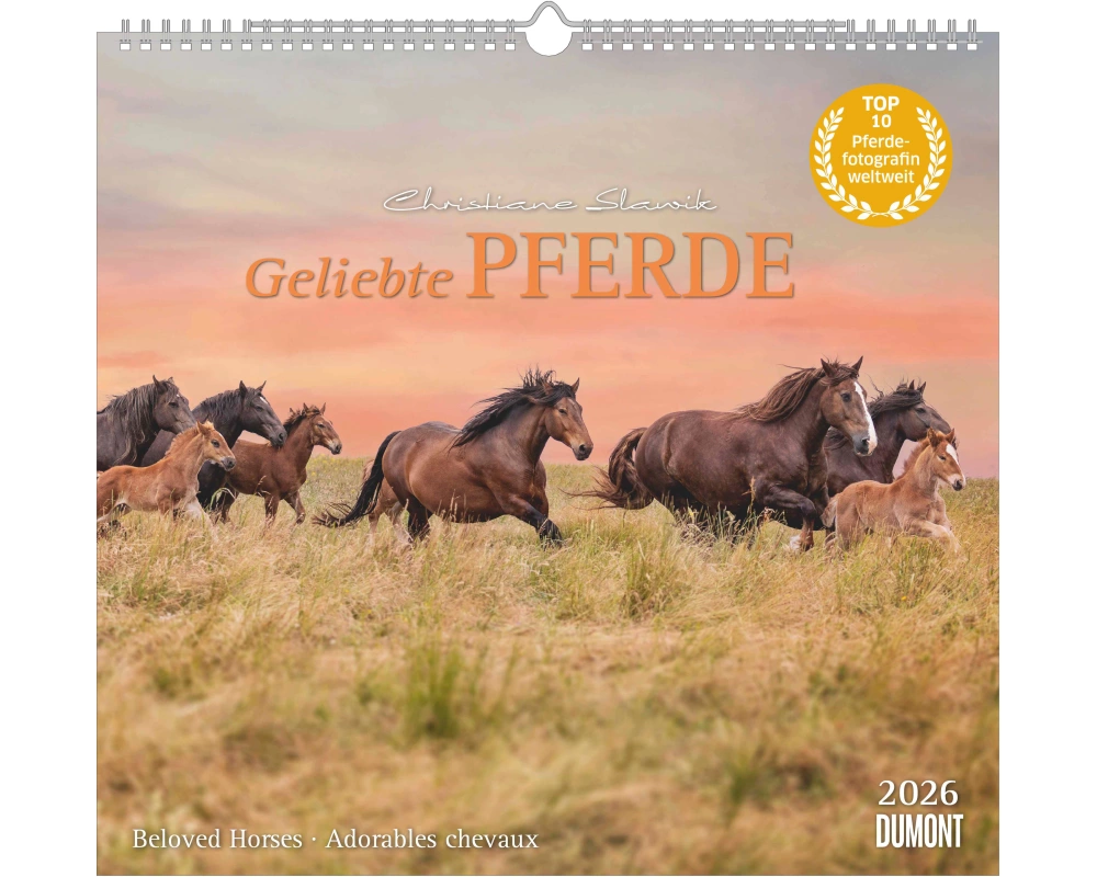 DUMONT Bildkalender 2026 260613 Pferde ML 38x35.5cm