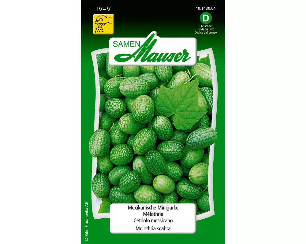 Samen Mauser Samen Mexikanische Minigurke