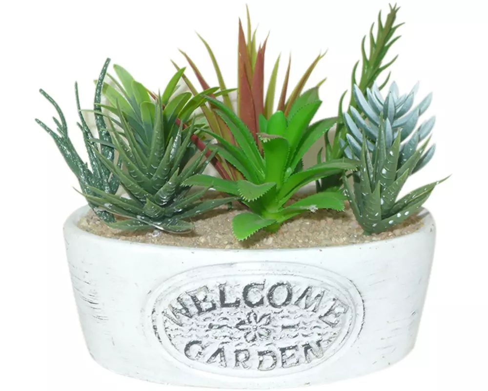 Dameco Kunstpflanze Sukkulenten «Welcome» 16 cm, mit Topf