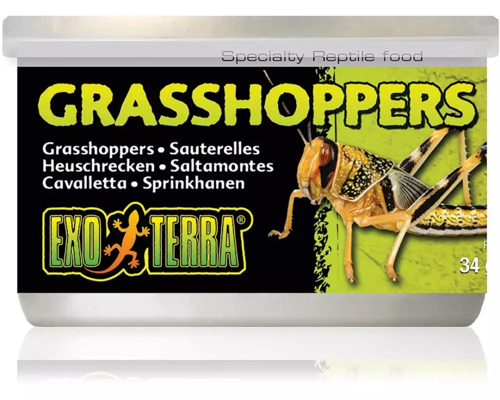Exo Terra Dosenfutter Grasshoppers, 34 g