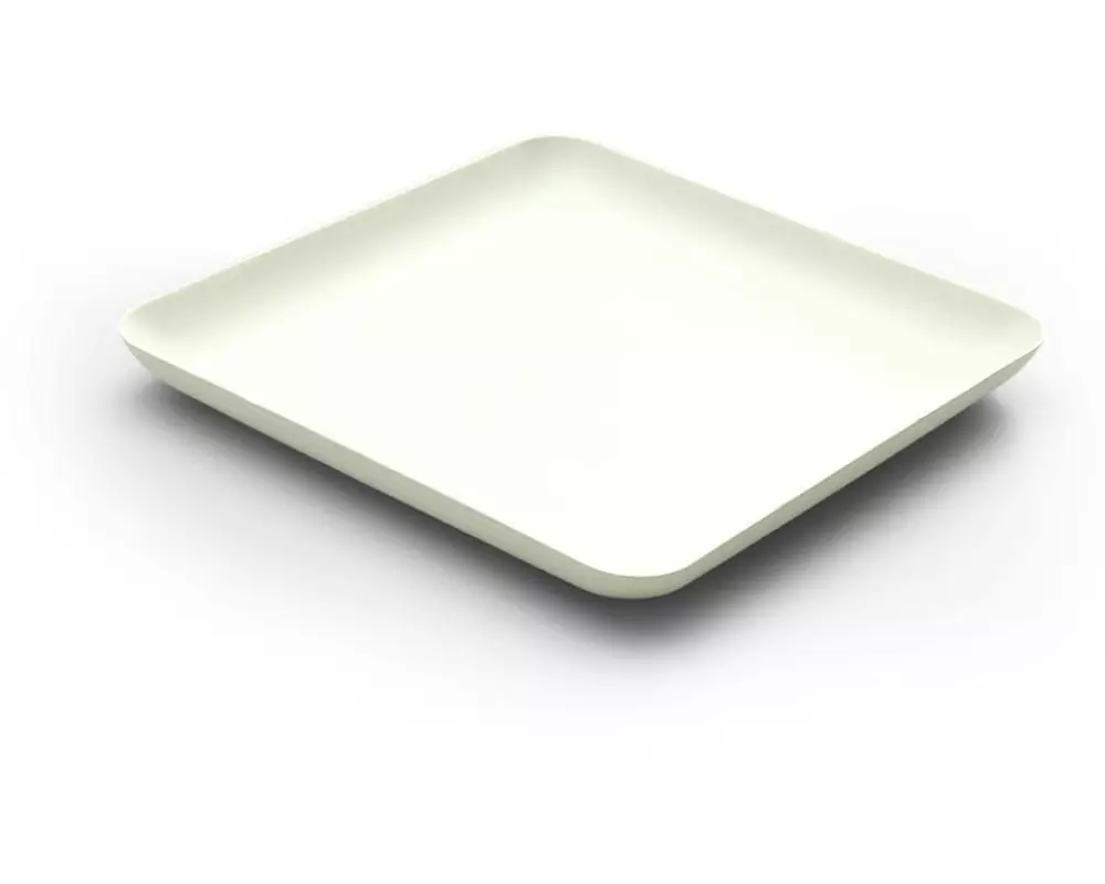 Sier Einwegteller Bagastro 16 cm x 1.5 cm x 16 cm, 40 Stück