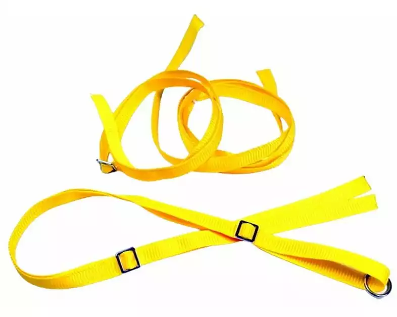 Absima 1:10 Spanngurte – Gelb (3)