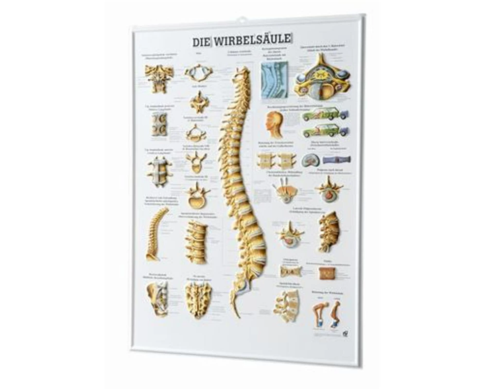 Rüdiger Relief-Tafel - 3D Poster 54 x 74 cm