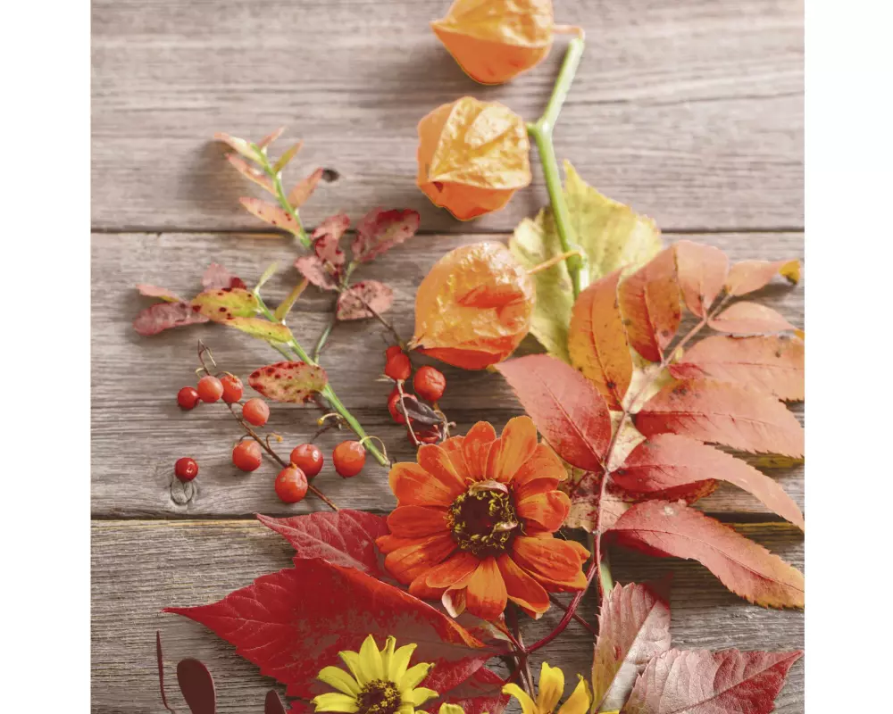 Paper + Design Papierservietten Rainy Leaves 33 cm x 33 cm, 20 Stück