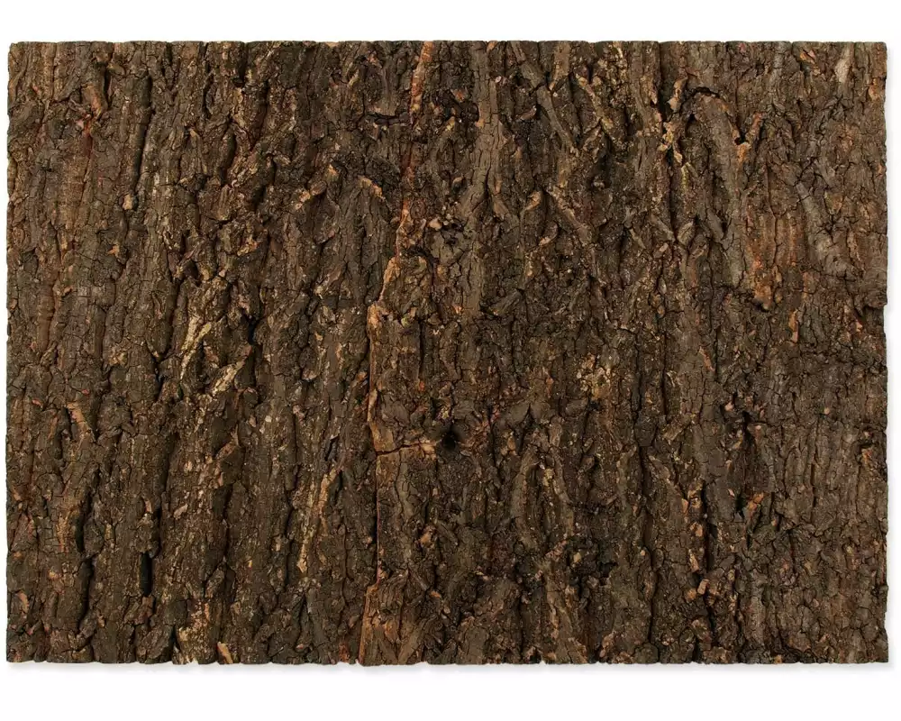 Repti Planet Kork-Rück Wand 58.5 x 41 x 2 cm