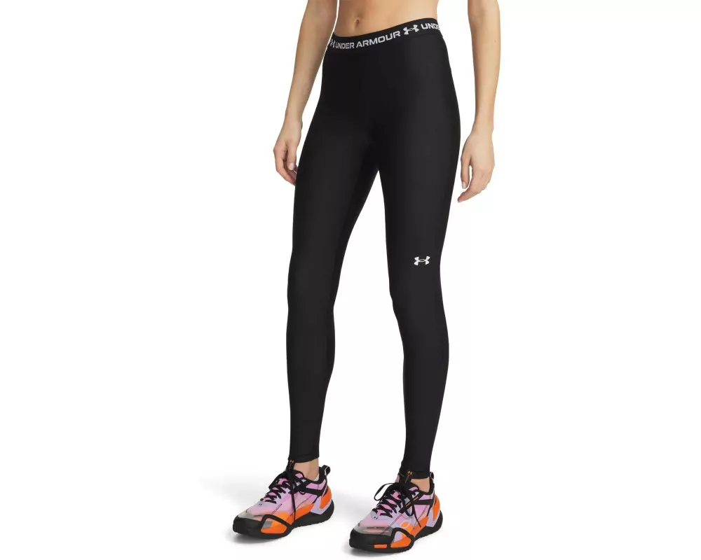 UNDER ARMOUR Funktionsunterwäsche HeatGear Leggings Schwarz, L