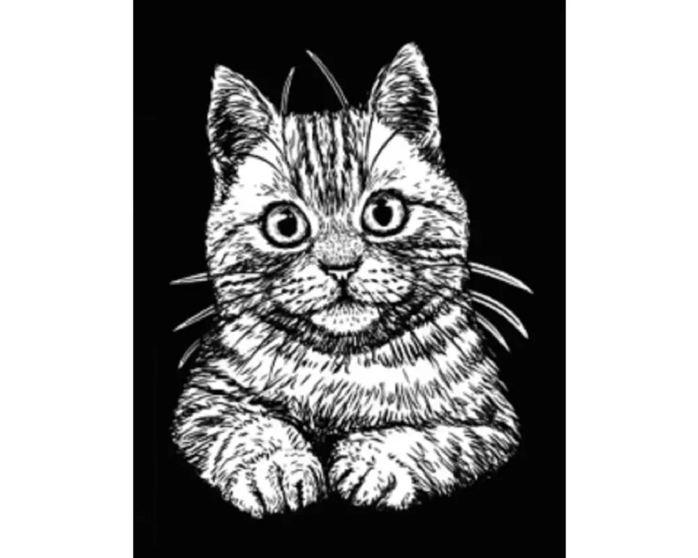 Tataruga Samtbild A4, Kätzchen