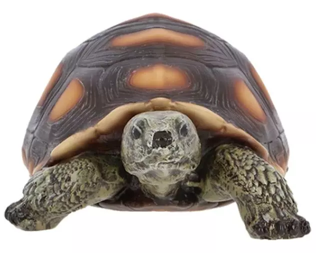 Esschert Design Schildkröte Kunstharz Naturgetreu