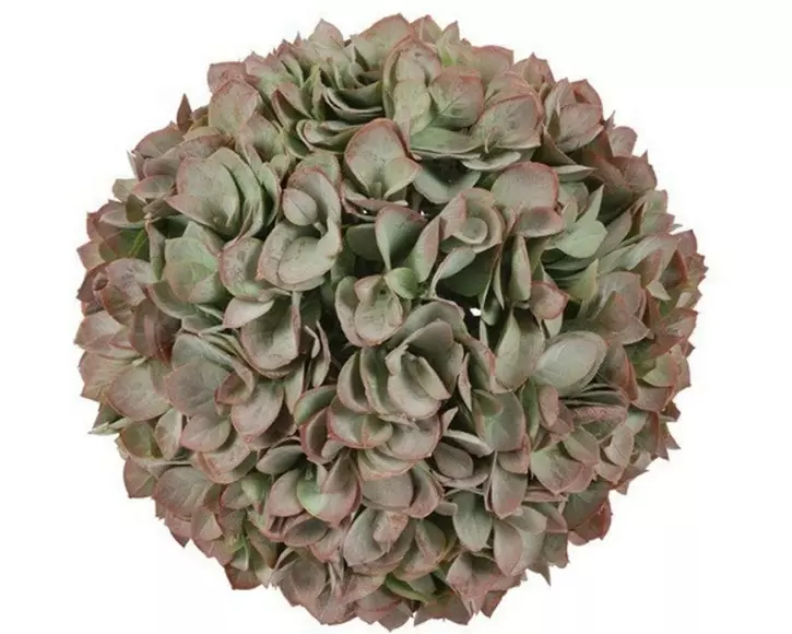 CHALET Eukalyptus Kugel L 23 cm, Grün