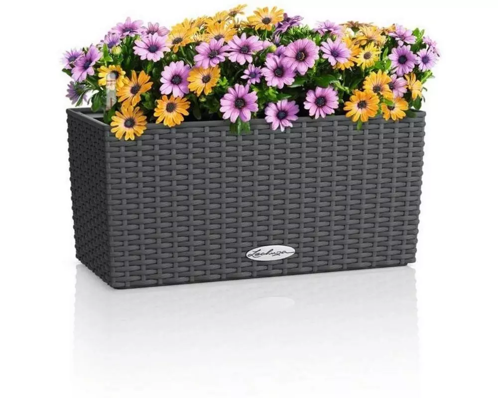 Lechuza BALCONERA Cottage 40 Granit