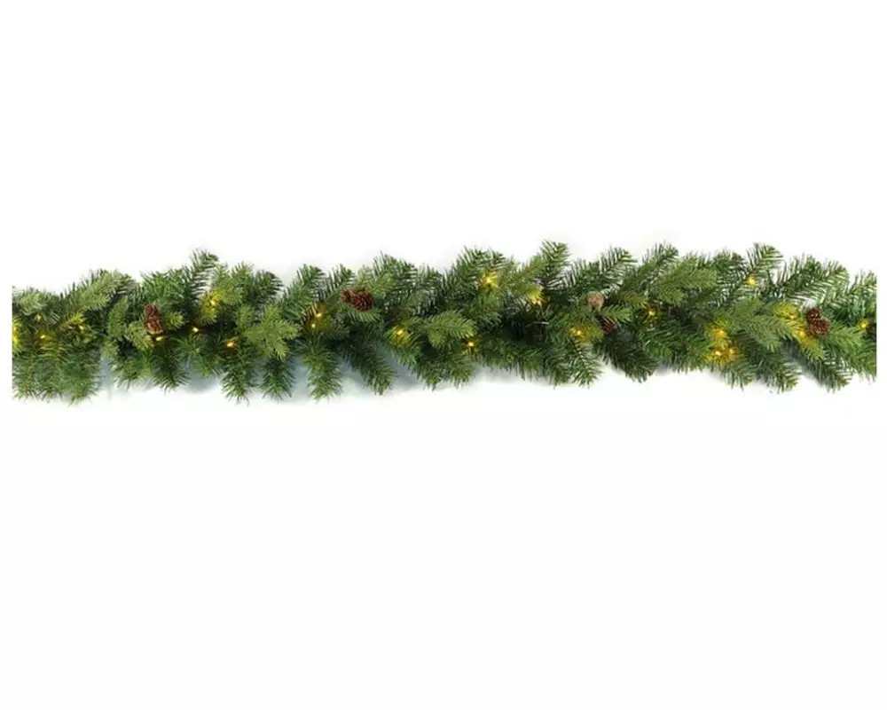 Dameco Girlande 30 LEDs, 1.8 m, Grün