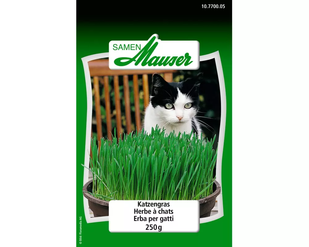 Samen Mauser Samen Katzengras 250g