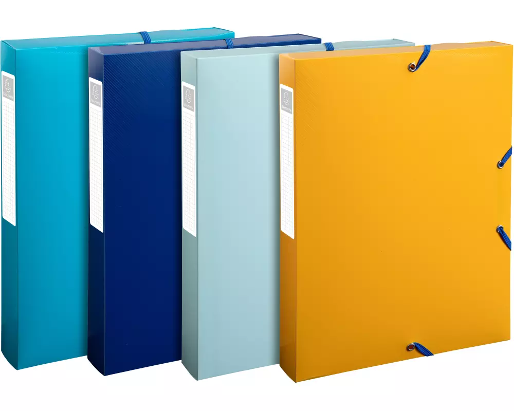 EXACOMPTA Sammelbox mit Gummizug A4 59140E sortiert PP