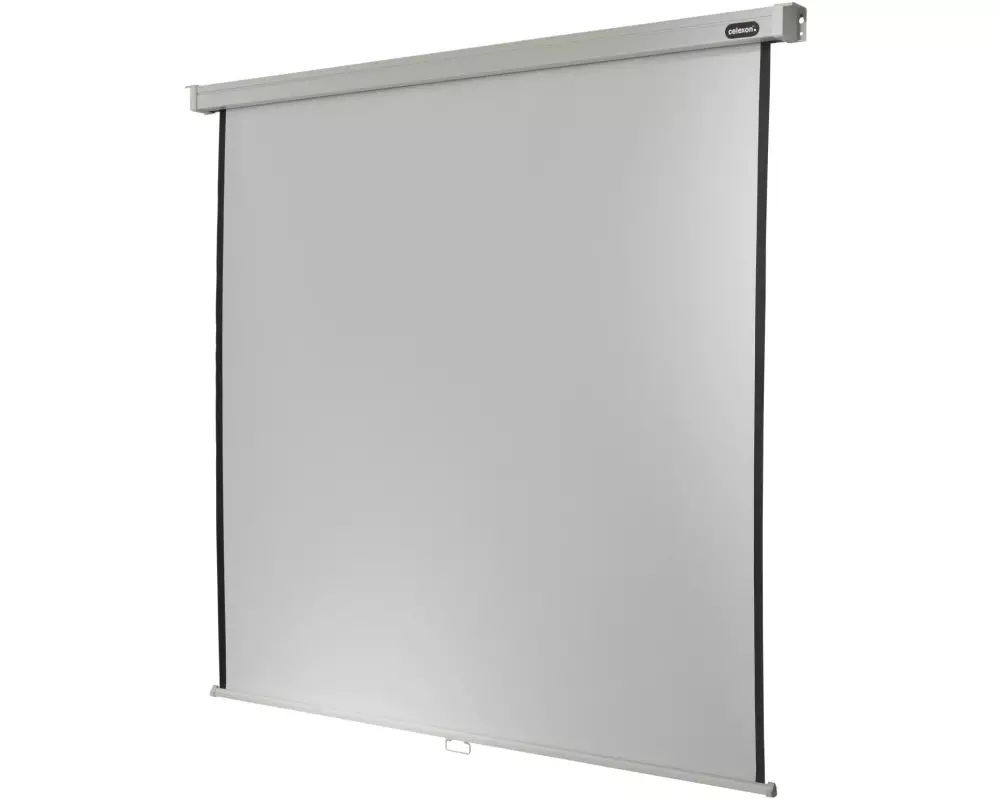 Celexon Rollo-Leinwand Pro 240x240cm 1:1