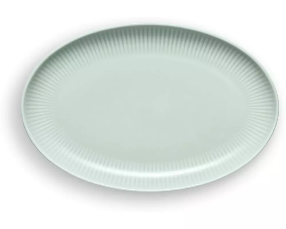Eva Solo Legio Nova Palette Teller oval coupe 24.5 cm Mint