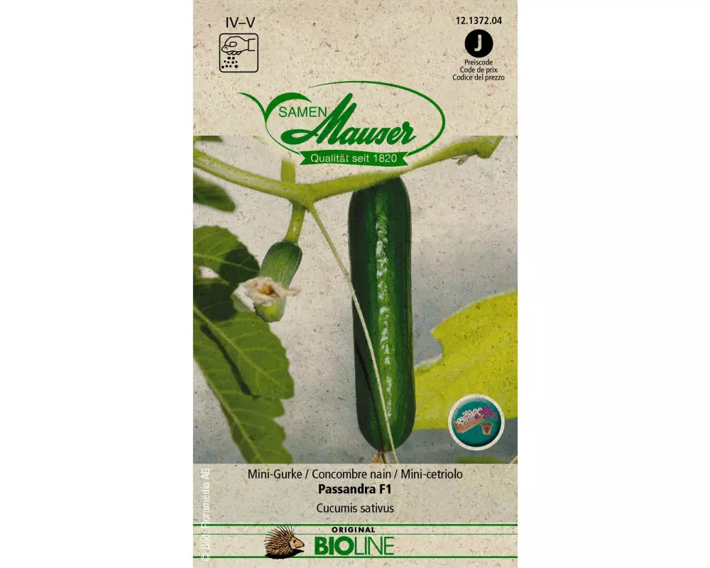 Samen Mauser Samen BIO Mini-Gurke Passandra F1