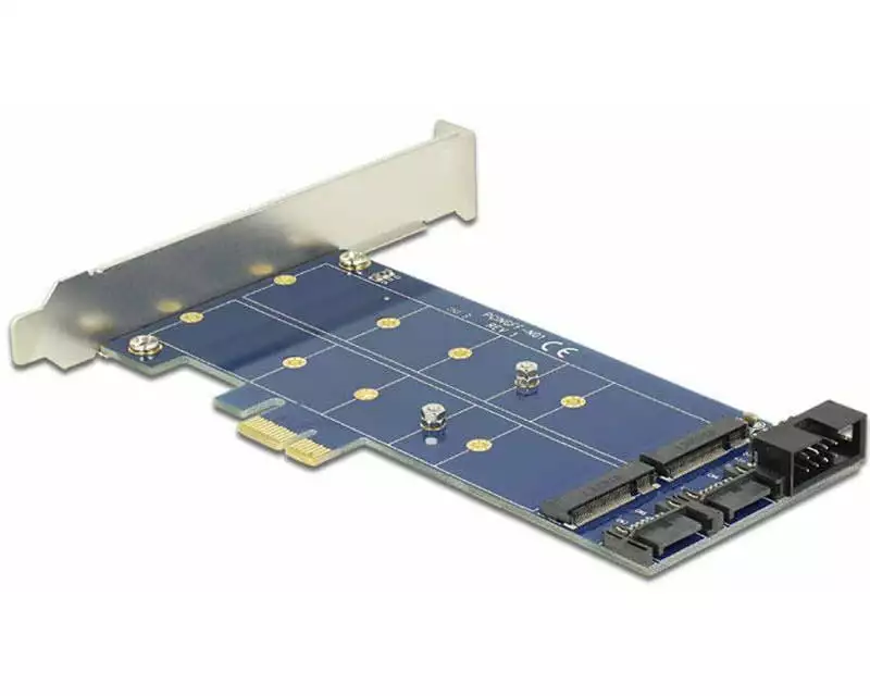 Delock Host Bus Adapter Controller PCI-Ex1 - M.2, 2Port