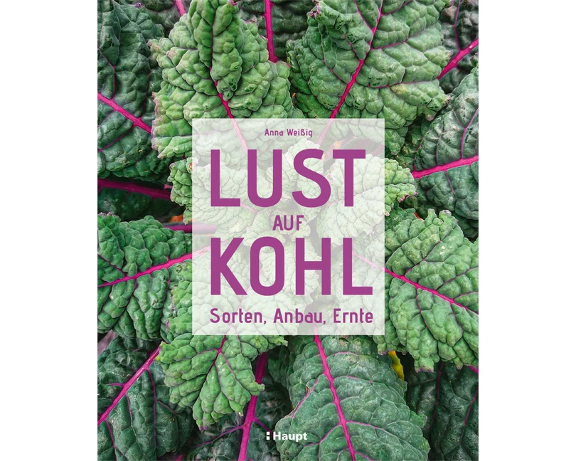 Lust auf Kohl