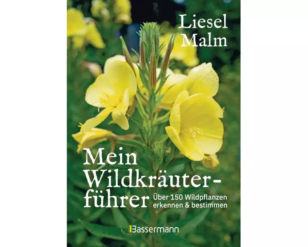 Mein Wildkräuterführer. Über 150 Wildpflanzen sammeln, erkennen & bestimmen