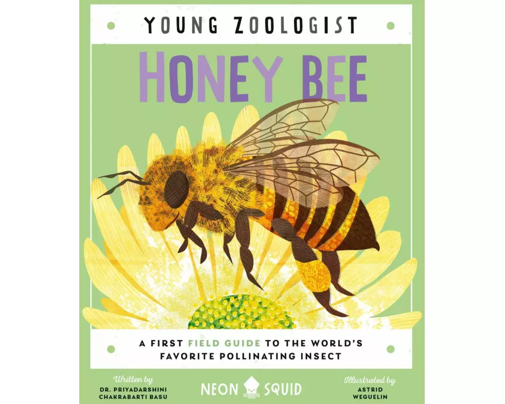 Honey Bee (Young Zoologist)