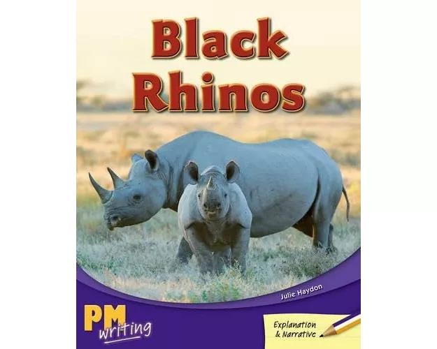 Black Rhinos