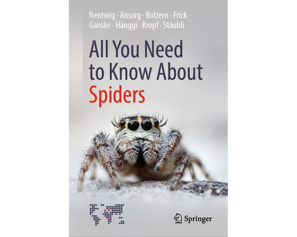 All You Need to Know About Spiders