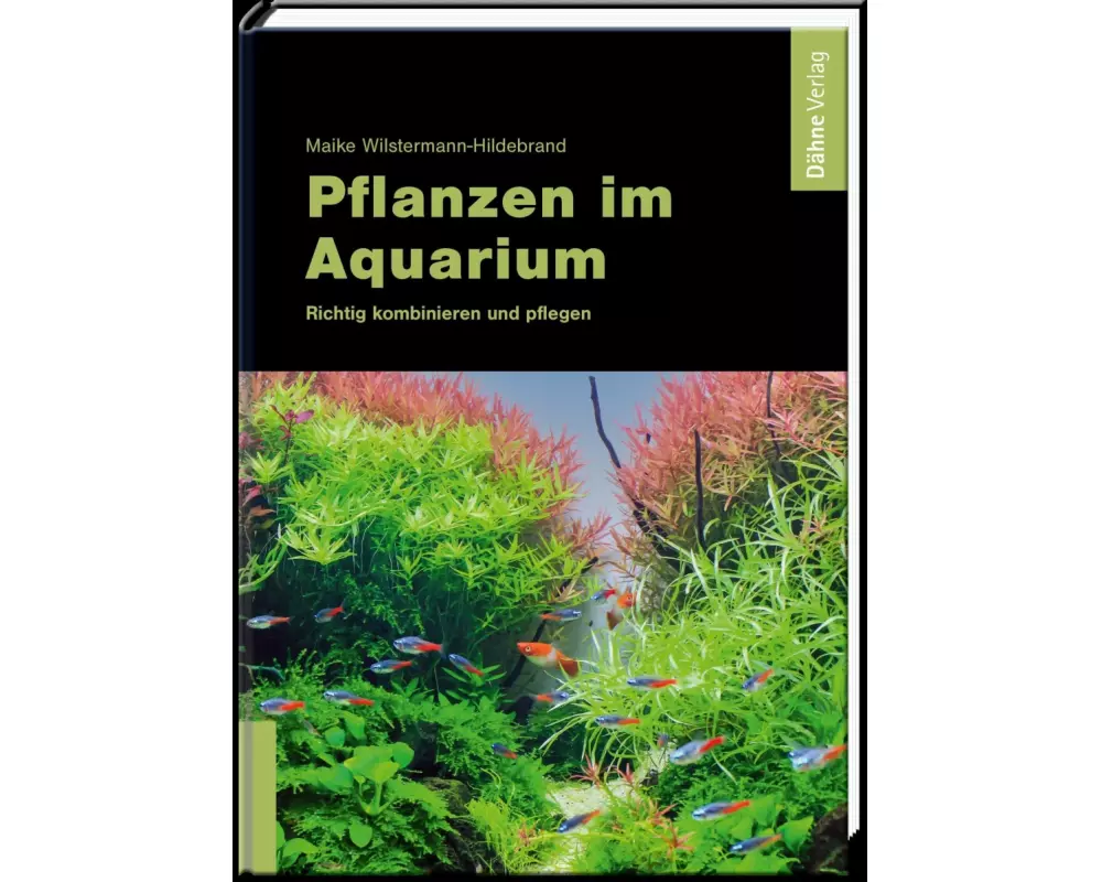 Pflanzen im Aquarium