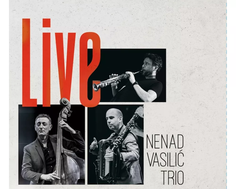 Nenad Vasilic Trio Live