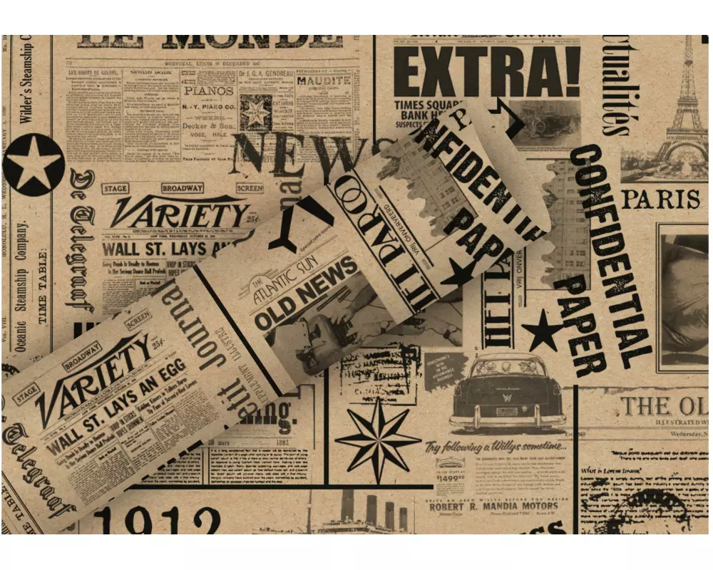 Braun + Company Geschenkpapier By Nature News 2 m x 70 cm, Braun/Schwarz