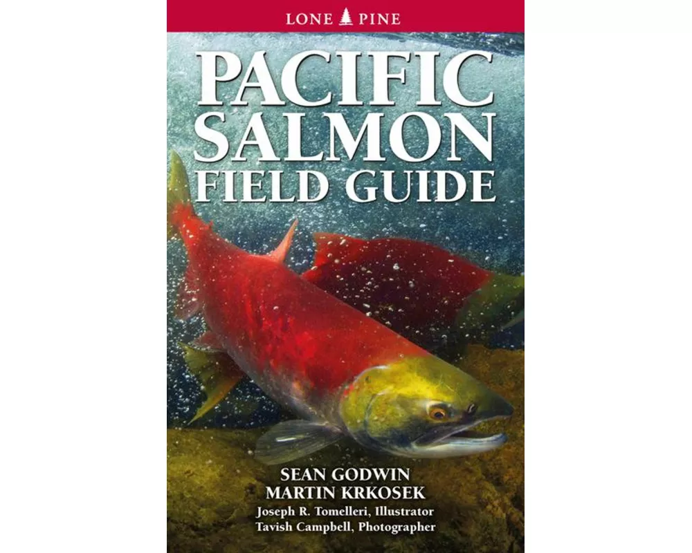 Pacific Salmon Field Guide