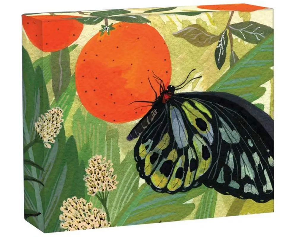 Butterflies QuickNotes