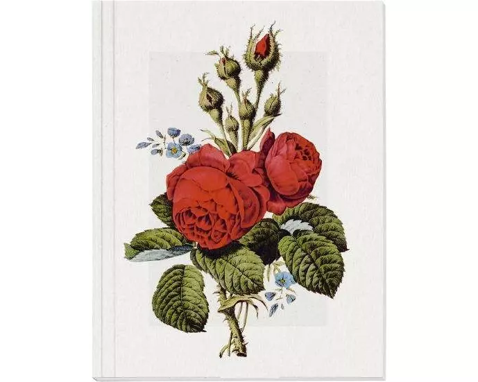 Geschichte der Rose Großes Notizheft Motiv Moosrose