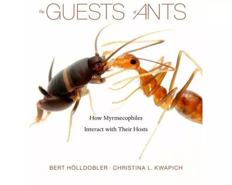 The Guests of Ants